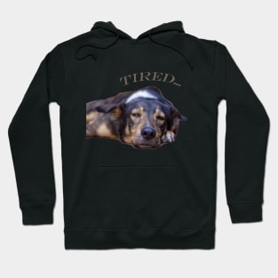 my dog is tired Hoodie